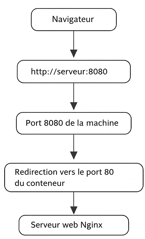 03f4a689-b92b-4f8a-ae46-d001f2e270b5.png
